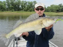 zander-elbe fangfoto-gummifisch
